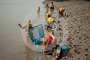 Prawn seed collection in Sunderban